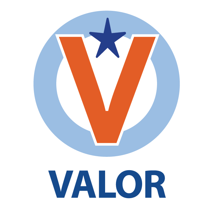 Valor logo